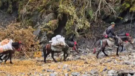 女驴友称遭马夫猥亵，马夫儿子回应引关注