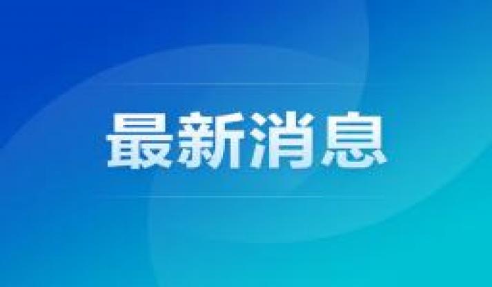 李书福的第10个IPO，要讲一个新故事