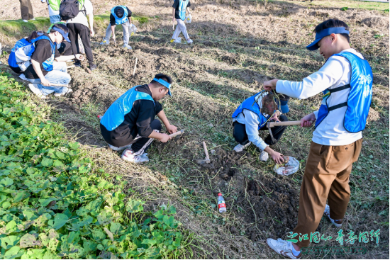 杭州市统一战线携手青年人才 共绘西湖区乡村振兴新图景