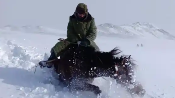 东北暴雪后独特出行方式引关注