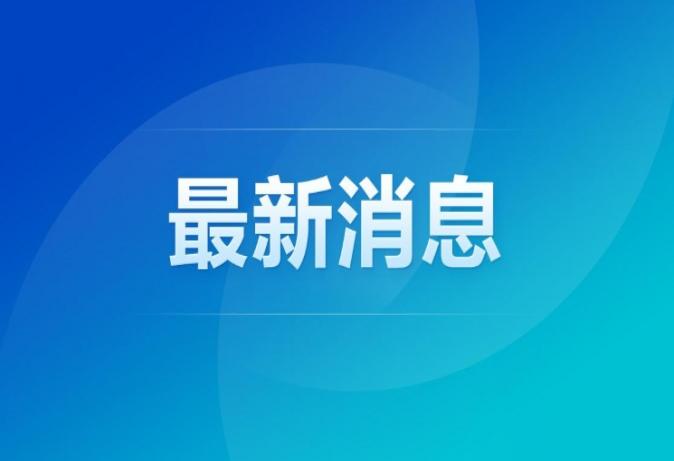 现场｜西岸艺博会开启：川流不息的现场、意味悠长的艺术