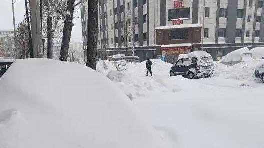 暴雪过后鹤岗车主的独特寻车之旅