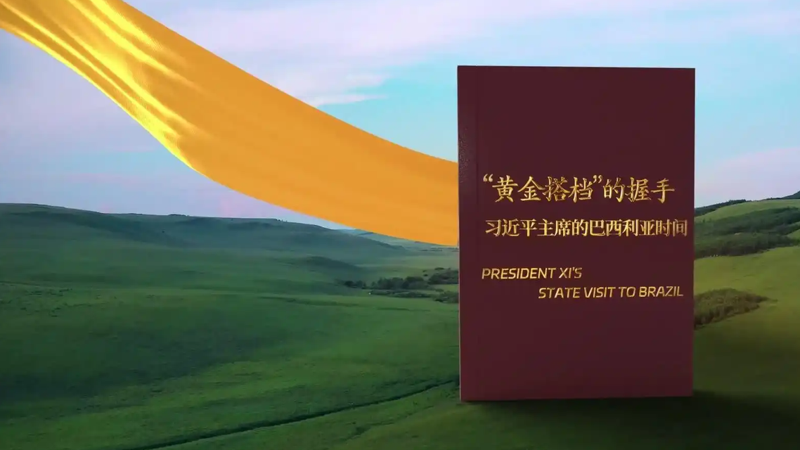 中巴两国领导人会谈，开启下一个“黄金 50 年”