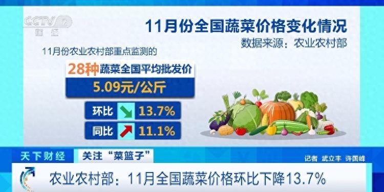 十一月全国菜价环降13.7%，大白菜跌幅超三成