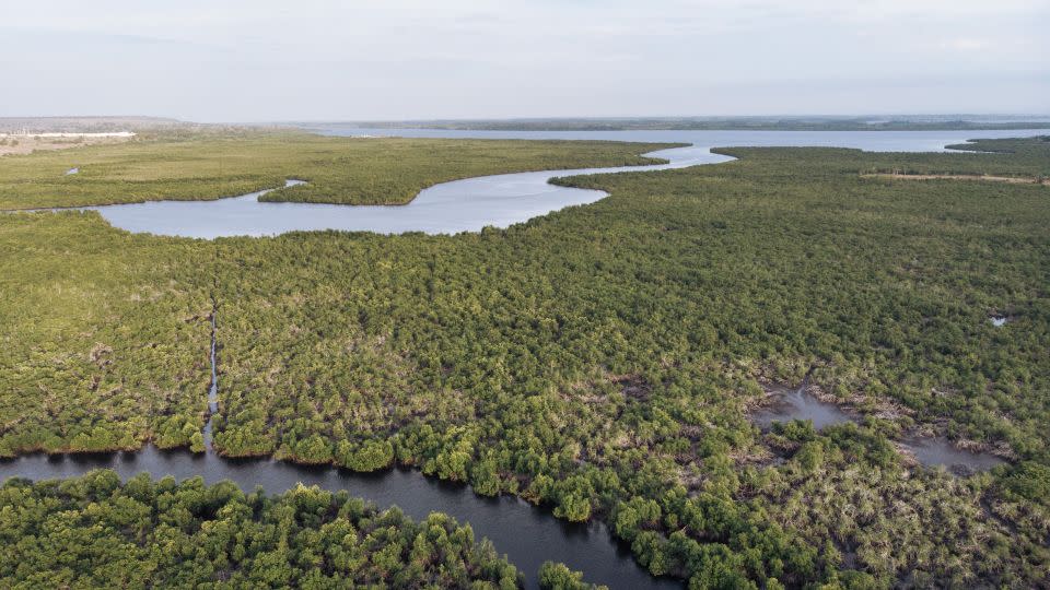 全球河流流量发生剧烈变化：近半大型河流流量下降，洪涝风险增加