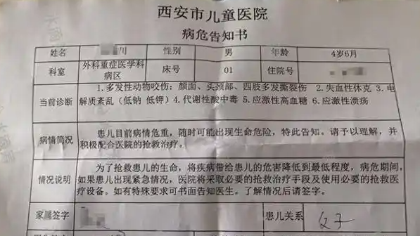 西安 4 岁半男童遭恶犬袭击，生命垂危亟待救助