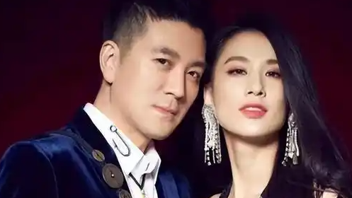 杨子黄圣依离婚事件引关注