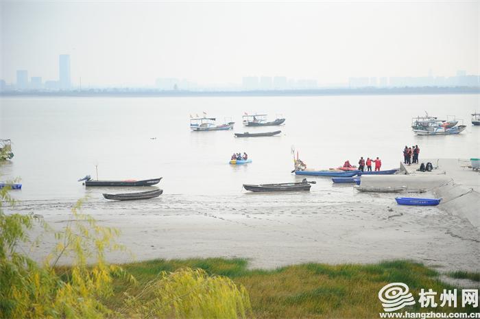 杭州钱塘江再度现海豚搁浅 各界合力施救护生灵