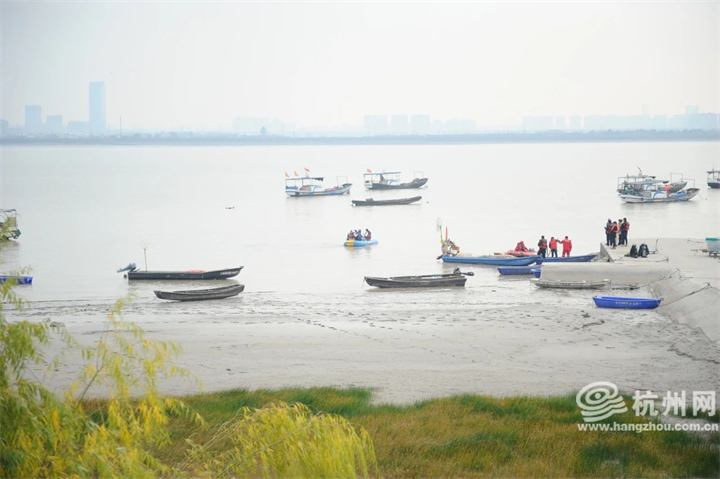 钱塘江海豚一周三搁 浅 伤及尾部 救援艰巨